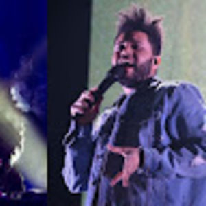 Meet your Posher, Hansel